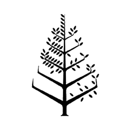 苏梅岛四季度假酒店 Logo